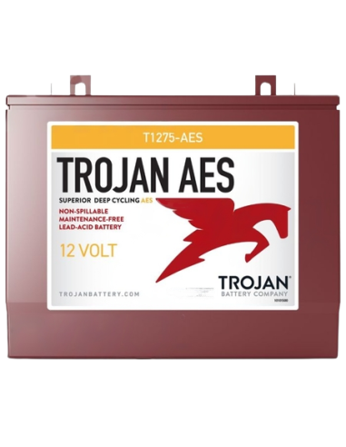 Batterie AGM TROJAN T1275-AES