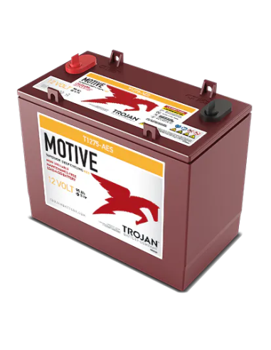 Batterie AGM TROJAN T1275-AES 12V 130 Ah 3 quart face