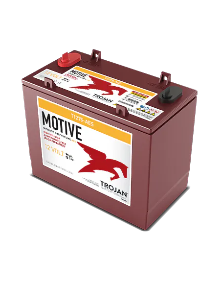 Batterie AGM TROJAN T1275-AES 12V 130 Ah 3 quart face