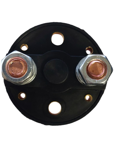 Coupe batterie / coupe circuit 100A M8
