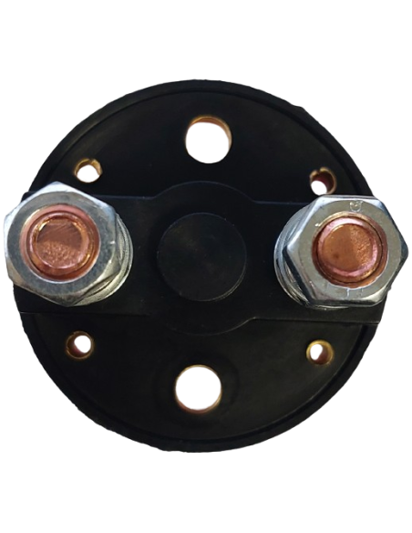 Coupe batterie / coupe circuit 100A M8