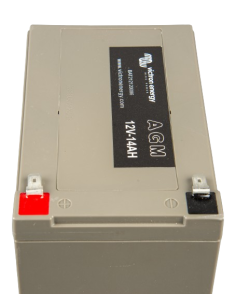 Batterie AGM Deep cycle 12 V 14 Ah / AGM12-14 VICTRON ENERGY 2