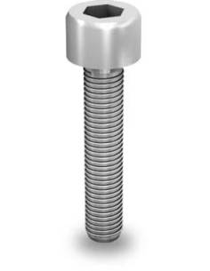 Vis à tête cylindrique crantée M8 x 25 K2 Systems