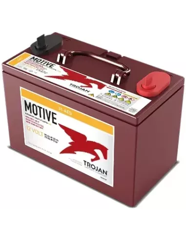 Batterie AGM TROJAN 31-AES 12V 102 Ah