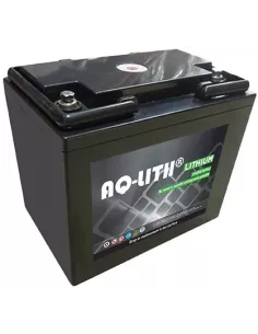 Batterie Lithium Fer Phosphate 24V 20Ah D24-20 AQLITH