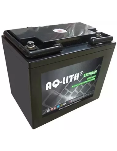 Batterie Lithium Fer Phosphate 24V 20Ah D24-20 AQLITH