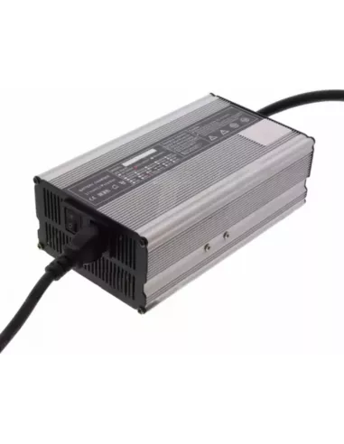 Chargeur de Batterie Lithium Fer Phosphate 12V 25A 4S