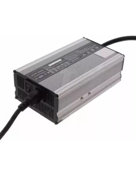 Chargeur de Batterie Lithium Fer Phosphate 12V 25A 4S