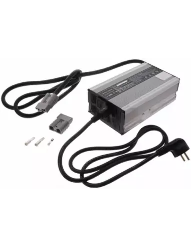 Chargeur de Batterie Lithium Fer Phosphate 12V 25A 4S (Cosses)
