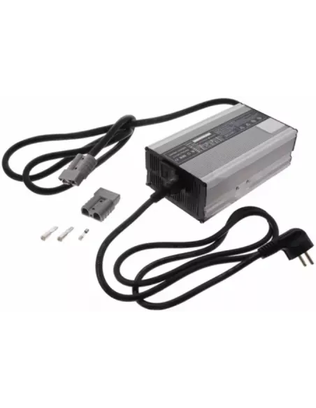 Chargeur de Batterie Lithium Fer Phosphate 12V 25A 4S (Cosses)