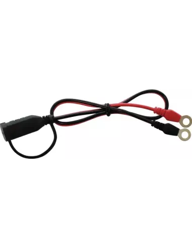 Confort Connect avec cosses à œillet M6 CTEK