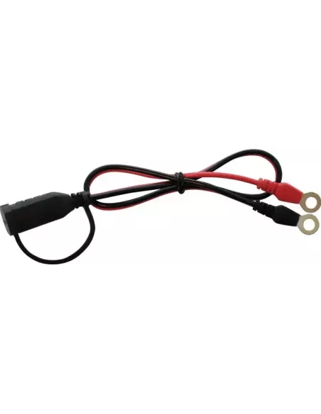 Confort Connect avec cosses à œillet M6 CTEK