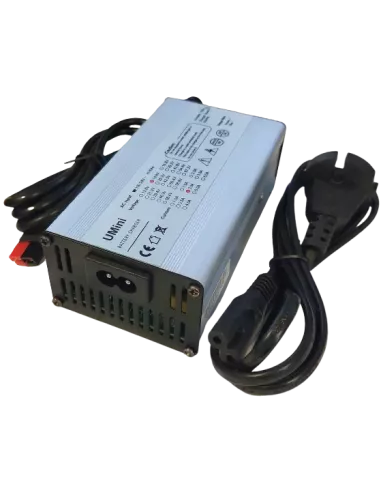 Chargeur de Batterie Lithium Fer Phosphate 12 V 2 A 4S
