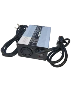 Chargeur de Batterie Lithium Fer Phosphate 12 V 5 A 4S