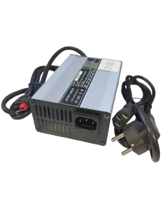 Chargeur de Batterie Lithium Fer Phosphate 12 V 5 A 4S 2