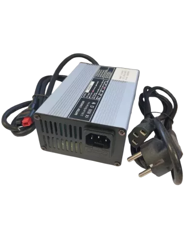 Chargeur de Batterie Lithium Fer Phosphate 12 V 5 A 4S