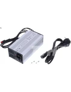 Chargeur de Batterie Lithium Fer Phosphate 48 V 5 A