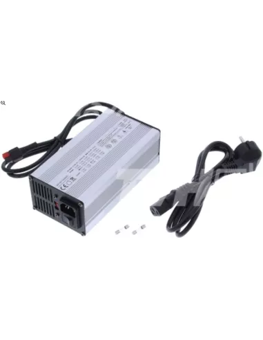 Chargeur de Batterie Lithium Fer Phosphate 48 V 5 A