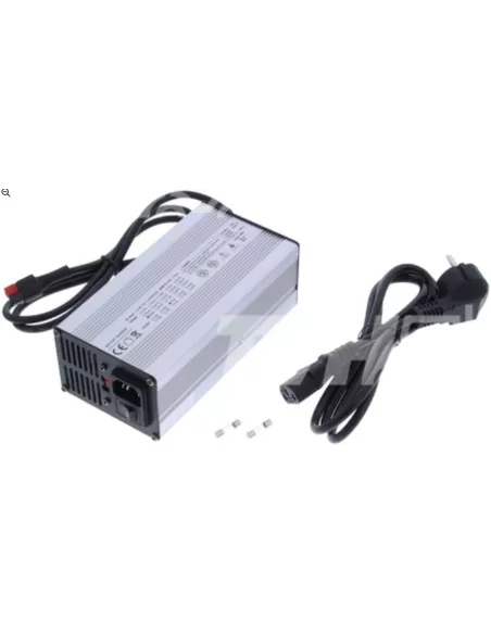 Chargeur de Batterie Lithium Fer Phosphate 48 V 5 A