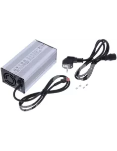 Chargeur de Batterie Lithium Fer Phosphate 48 V 5 A 2