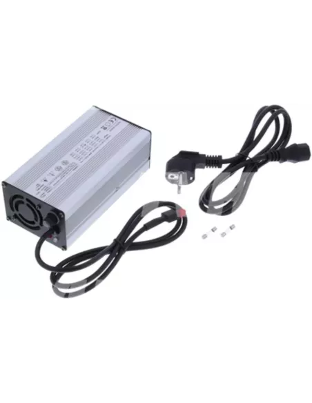 Chargeur de Batterie Lithium Fer Phosphate 48 V 5 A