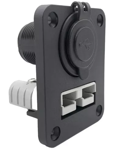 Cadre d'installation pour  prise Anderson et prise double USB 12 / 24 V zoomé