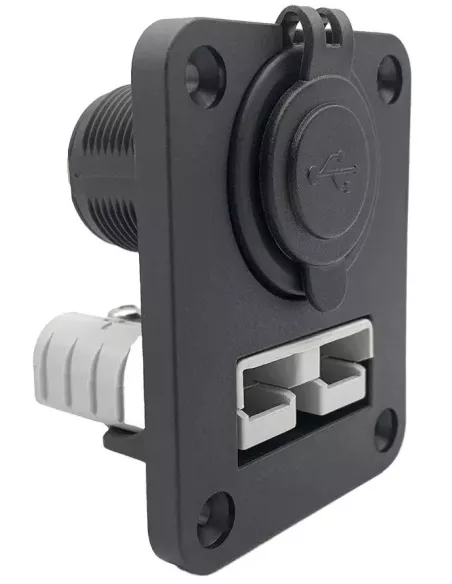 Cadre d'installation pour  prise Anderson et prise double USB 12 / 24 V zoomé