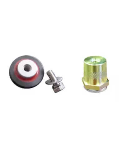 Bornes Batterie ROLLS AGM S12-128AGM-RE