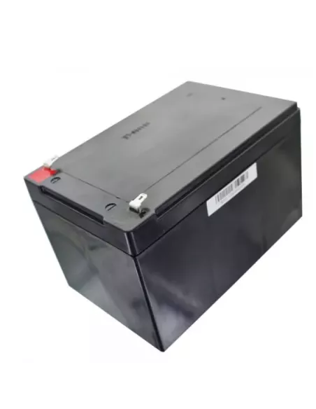 Coté Batterie Exide Powerfit S312/ 12 S