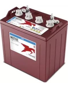Batterie TROJAN T-875 / 8V 170 Ah 2