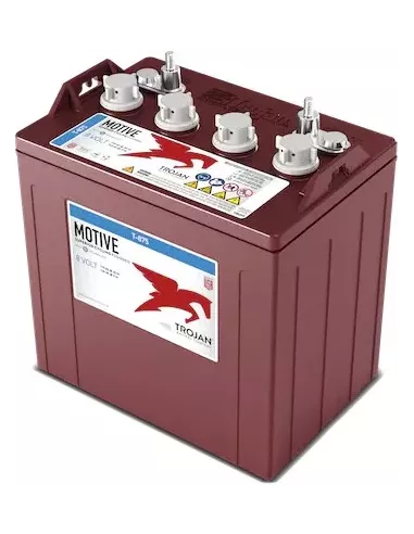 Batterie TROJAN T-875 8V 170Ah