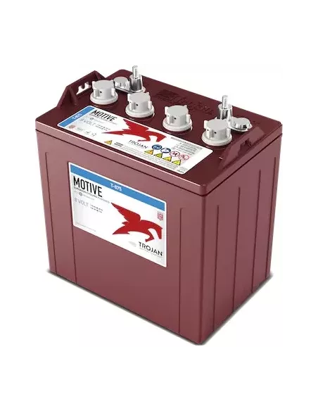 Batterie TROJAN T-875 8V 170Ah