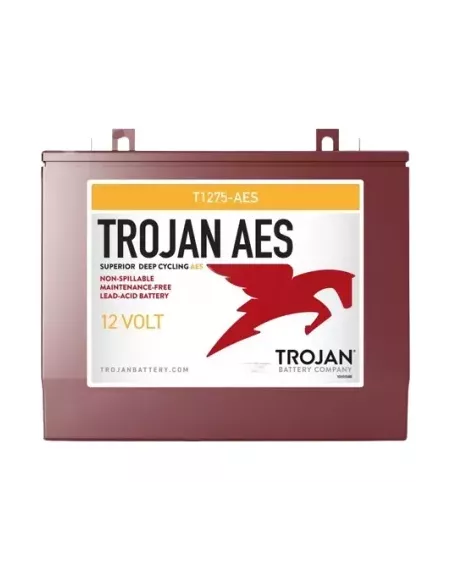 Batterie AGM TROJAN T1275-AES 12V 130 Ah