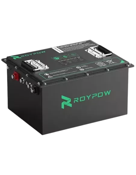 Batterie RoyPow S51105 48V 100 Ah