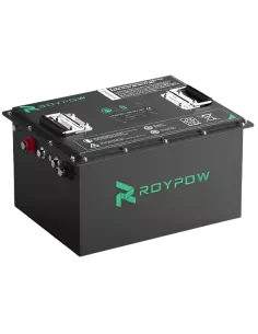 Batterie RoyPow S5156 48V 50 Ah