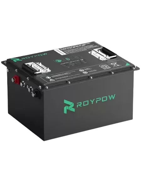Batterie RoyPow S5156 48V 50 Ah