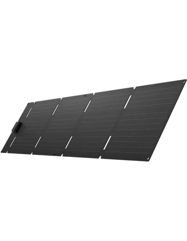 Panneau solaire pliable 60 W (USB-C) EcoFlow
