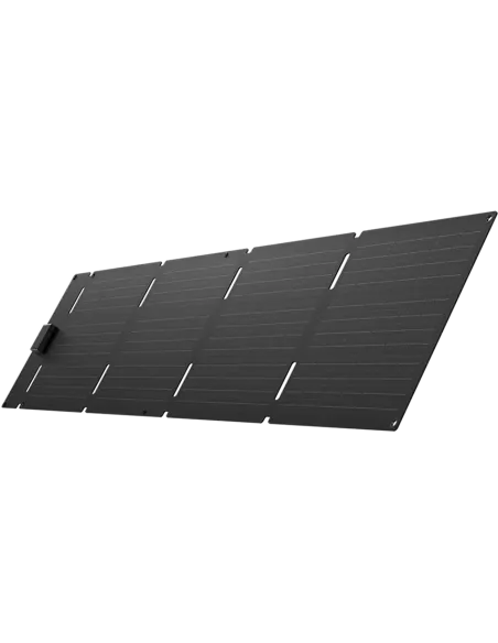 Panneau solaire pliable 60 W (USB-C) EcoFlow