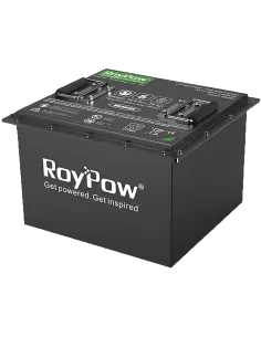 Batterie RoyPow S3880 36V 220 Ah