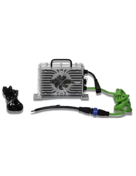 chargeur pour voiture de golf Roypow S3880 36V 80Ah