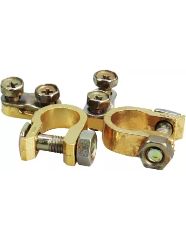 Paire de cosses lourdes pour batterie