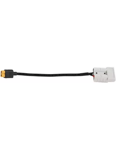 Adaptateur connecteur de batterie ANDERSON vers XT60 20cm