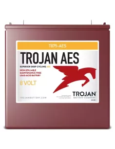 Batterie TROJAN T875-AES