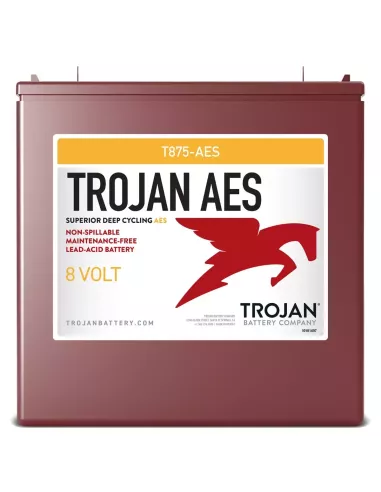 Batterie TROJAN T875-AES