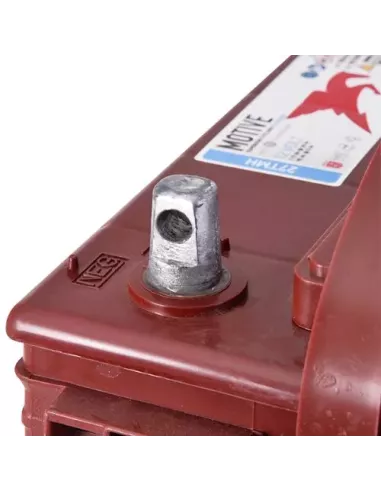 Borne UT pour la batterie Trojan 27TMH