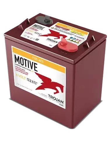 Batterie AGM TROJAN T105-AES 6V 207AH