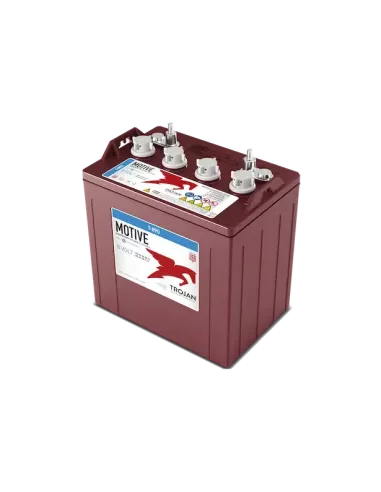 Batterie TROJAN T890 8V 190Ah