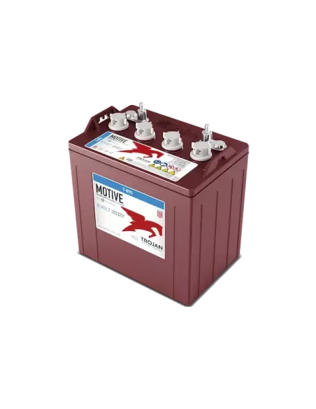 Batterie TROJAN T890 8V 190Ah