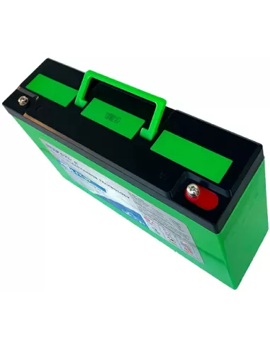 Batterie LEOCH LDC12-43 12 V 43 Ah