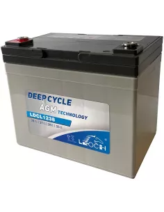 Batterie LEOCH LDC12-39 12 V 39 Ah 2